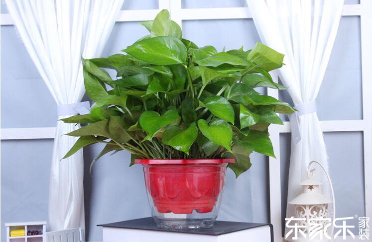 剛裝修完的房子里含有哪些有害物質(zhì)?哪些方法可以去除?